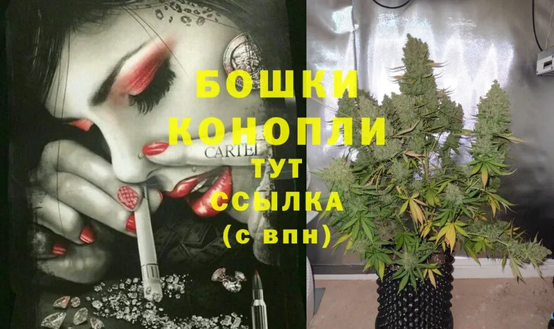 где купить   Борисоглебск  Шишки марихуана White Widow 